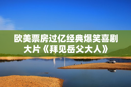 欧美票房过亿经典爆笑喜剧大片《拜见岳父大人》