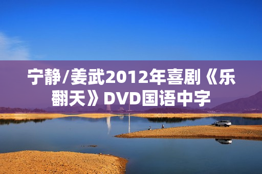 宁静/姜武2012年喜剧《乐翻天》DVD国语中字