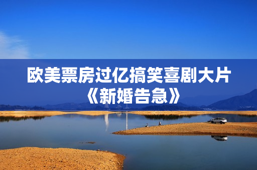欧美票房过亿搞笑喜剧大片《新婚告急》