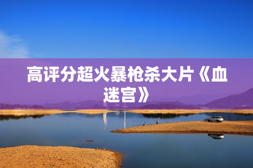 高评分超火暴枪杀大片《血迷宫》 高评分超火暴枪杀大片《血迷宫》