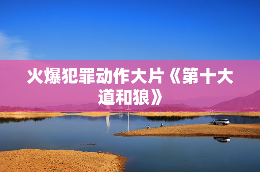 火爆犯罪动作大片《第十大道和狼》