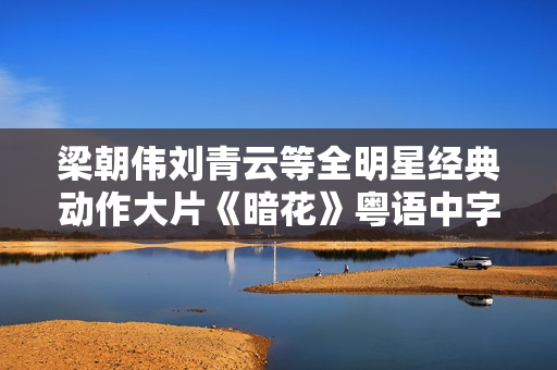梁朝伟刘青云等全明星经典动作大片《暗花》粤语中字