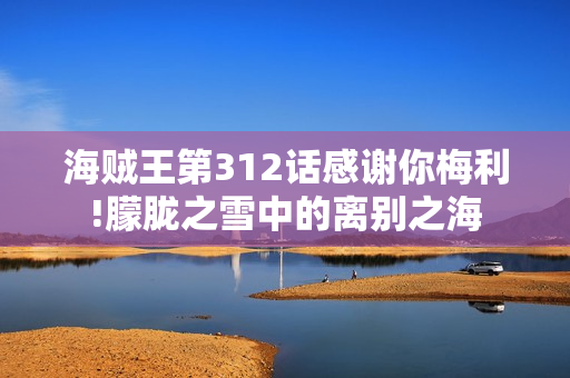 海贼王第312话感谢你梅利!朦胧之雪中的离别之海