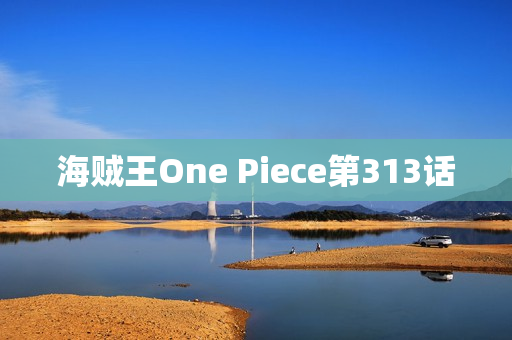 海贼王One Piece第313话 海贼王One Piece第313话