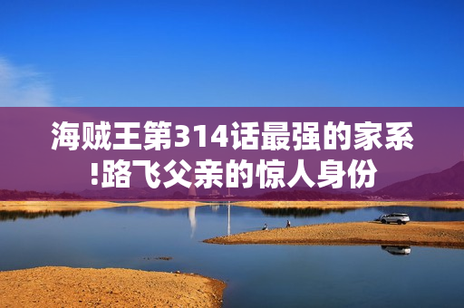 海贼王第314话最强的家系!路飞父亲的惊人身份 海贼王第314话最强的家系!路飞父亲的惊人身份
