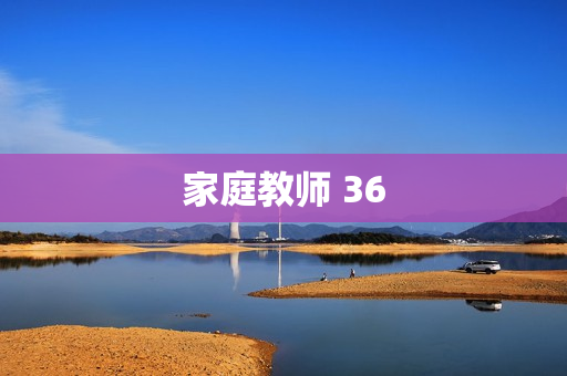 家庭教师 36