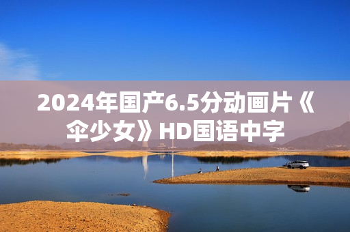 2024年国产6.5分动画片《伞少女》HD国语中字
