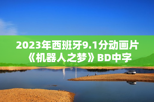 2023年西班牙9.1分动画片《机器人之梦》BD中字