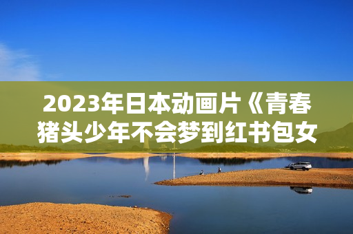 2023年日本动画片《青春猪头少年不会梦到红书包女孩》BD日语中字