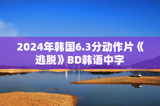 2024年韩国6.3分动作片《逃脱》BD韩语中字