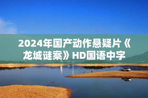 2024年国产动作悬疑片《龙城谜案》HD国语中字