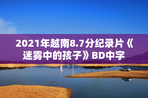 2021年越南8.7分纪录片《迷雾中的孩子》BD中字