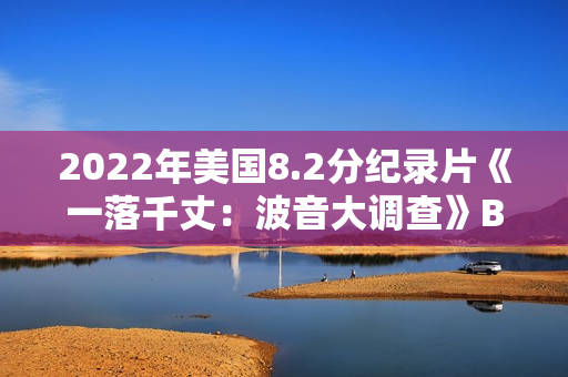 2022年美国8.2分纪录片《一落千丈：波音大调查》BD中英双字