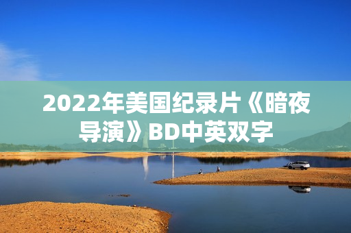 2022年美国纪录片《暗夜导演》BD中英双字