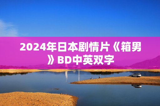 2024年日本剧情片《箱男》BD中英双字