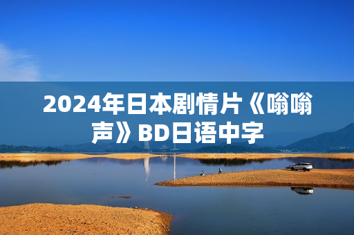 2024年日本剧情片《嗡嗡声》BD日语中字