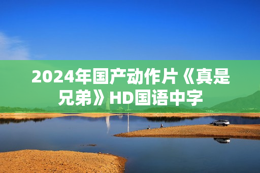 2024年国产动作片《真是兄弟》HD国语中字