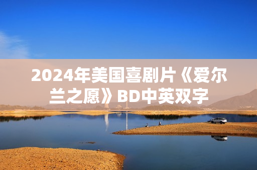 2024年美国喜剧片《爱尔兰之愿》BD中英双字