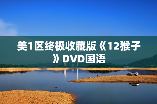 美1区终极收藏版《12猴子》DVD国语