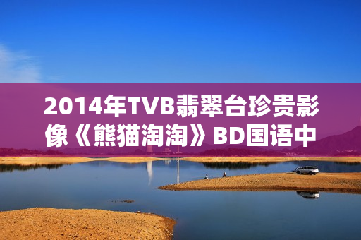 2014年TVB翡翠台珍贵影像《熊猫淘淘》BD国语中字