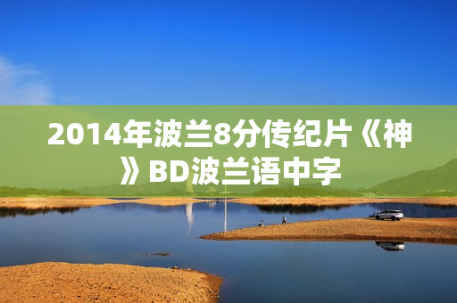 2014年波兰8分传纪片《神》BD波兰语中字