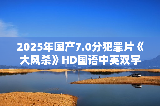 2025年国产7.0分犯罪片《大风杀》HD国语中英双字