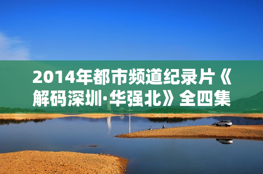 2014年都市频道纪录片《解码深圳·华强北》全四集