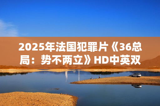 2025年法国犯罪片《36总局：势不两立》HD中英双字