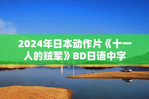 2024年日本动作片《十一人的贼军》BD日语中字