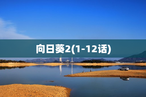 向日葵2(1-12话)