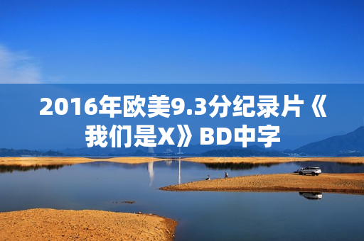 2016年欧美9.3分纪录片《我们是X》BD中字