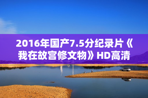 2016年国产7.5分纪录片《我在故宫修文物》HD高清国语中字