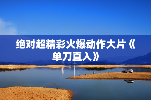 绝对超精彩火爆动作大片《单刀直入》