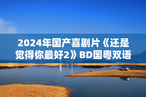 2024年国产喜剧片《还是觉得你最好2》BD国粤双语中字
