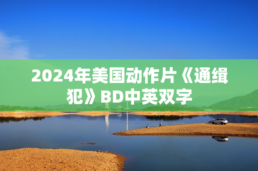 2024年美国动作片《通缉犯》BD中英双字