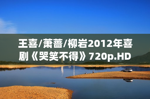 王喜/萧蔷/柳岩2012年喜剧《哭笑不得》720p.HD国语中字