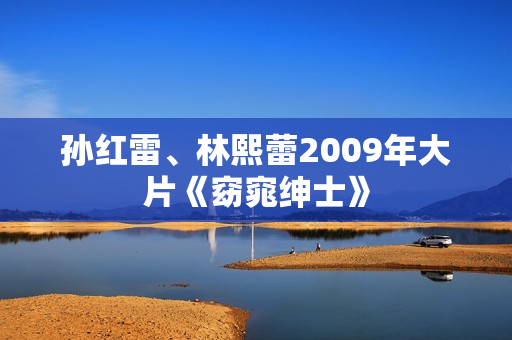 孙红雷、林熙蕾2009年大片《窈窕绅士》