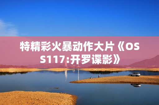 特精彩火暴动作大片《OSS117:开罗谍影》