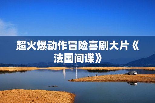 超火爆动作冒险喜剧大片《法国间谍》