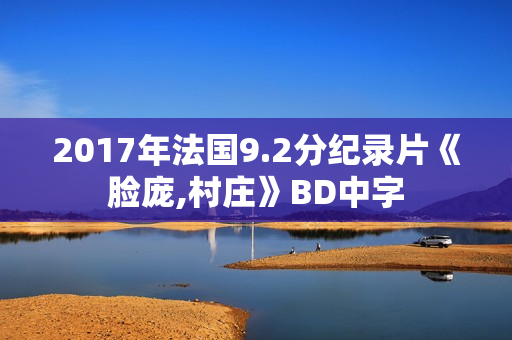 2017年法国9.2分纪录片《脸庞,村庄》BD中字 2017年法国9.2分纪录片《脸庞,村庄》BD中字