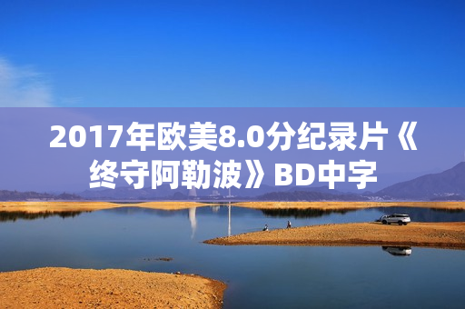 2017年欧美8.0分纪录片《终守阿勒波》BD中字 2017年欧美8.0分纪录片《终守阿勒波》BD中字