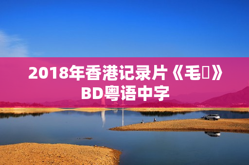 2018年香港记录片《毛俠》BD粤语中字 2018年香港记录片《毛俠》BD粤语中字