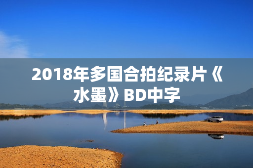 2018年多国合拍纪录片《水墨》BD中字 2018年多国合拍纪录片《水墨》BD中字