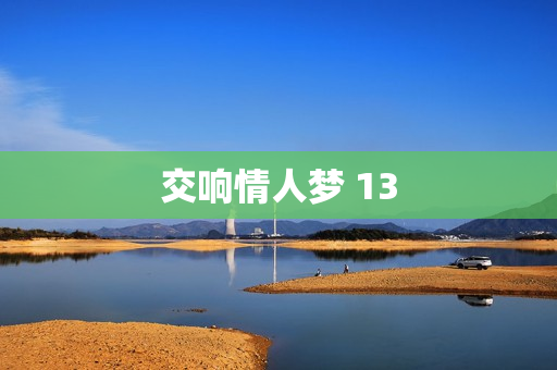 交响情人梦 13