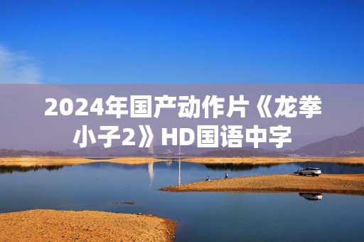 2024年国产动作片《龙拳小子2》HD国语中字