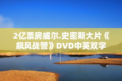 2亿票房威尔.史密斯大片《飙风战警》DVD中英双字