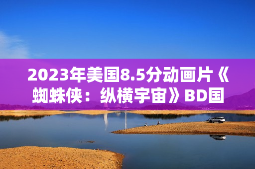 2023年美国8.5分动画片《蜘蛛侠：纵横宇宙》BD国粤英3语双字