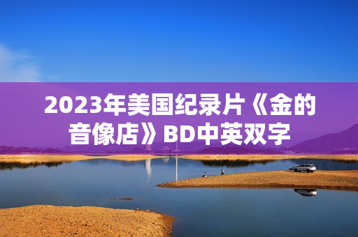 2023年美国纪录片《金的音像店》BD中英双字