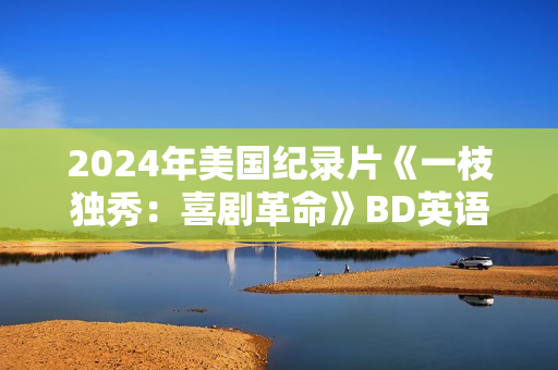 2024年美国纪录片《一枝独秀：喜剧革命》BD英语中字