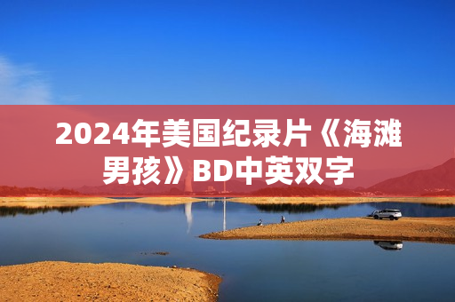 2024年美国纪录片《海滩男孩》BD中英双字